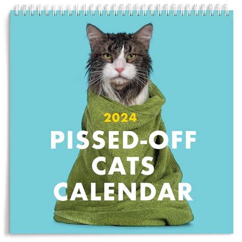 angry cat calendar 2024|More.